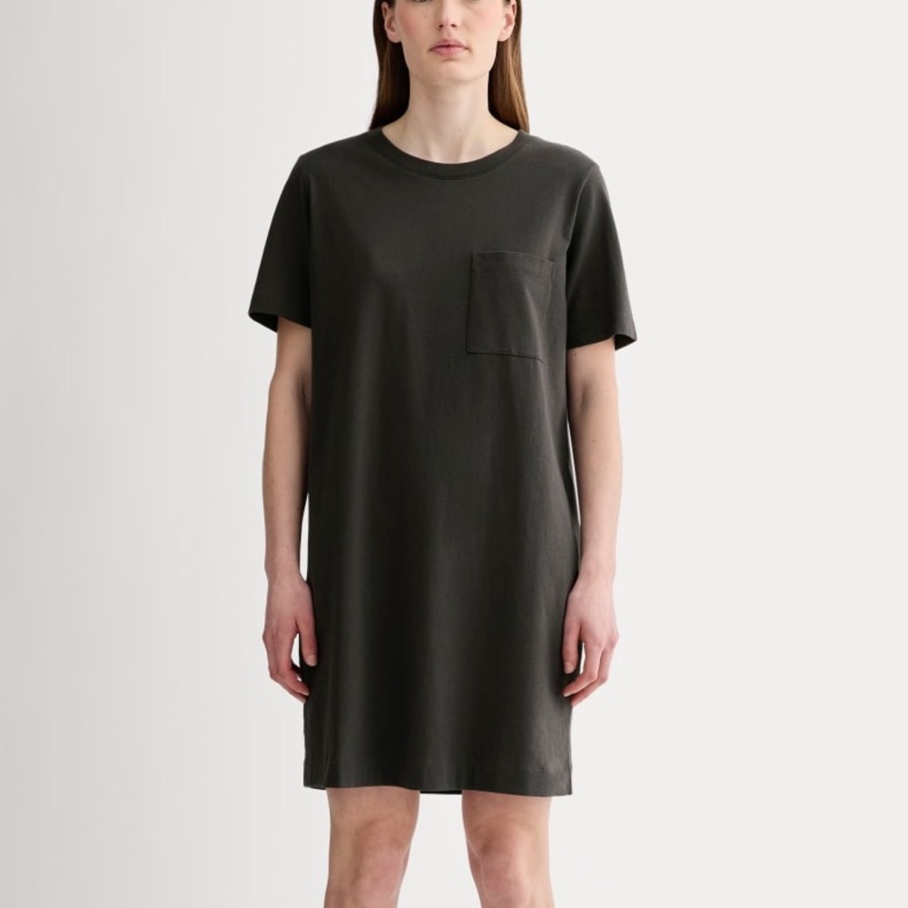 Everlane Organic Cotton Tee Dress